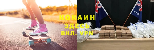 молекула духа Чердынь