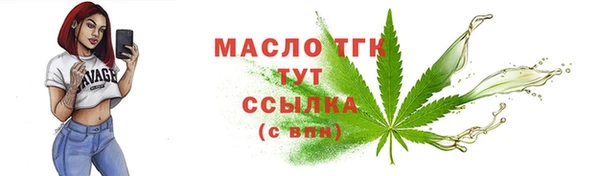 молекула духа Чердынь
