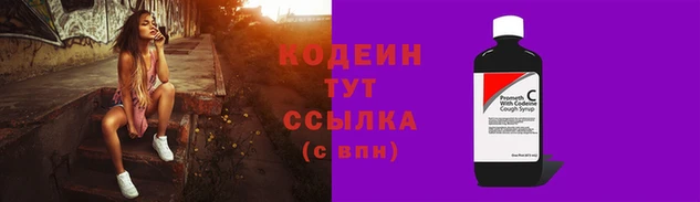 мяу мяу мука Чегем