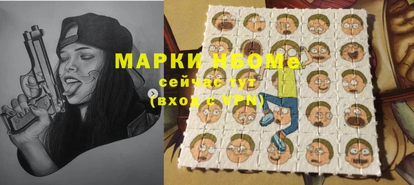 молекула духа Чердынь