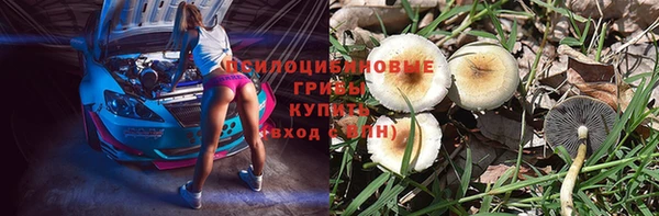 молекула духа Чердынь