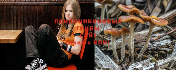 мяу мяу мука Чегем