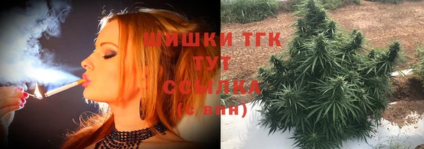 молекула духа Чердынь